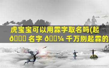 虎宝宝可以用霖字取名吗(起 🐈 名字 🌼 千万别起霖的字)